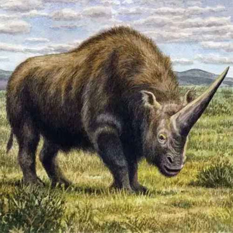 cover art for Elasmotherium, the Plated Beast