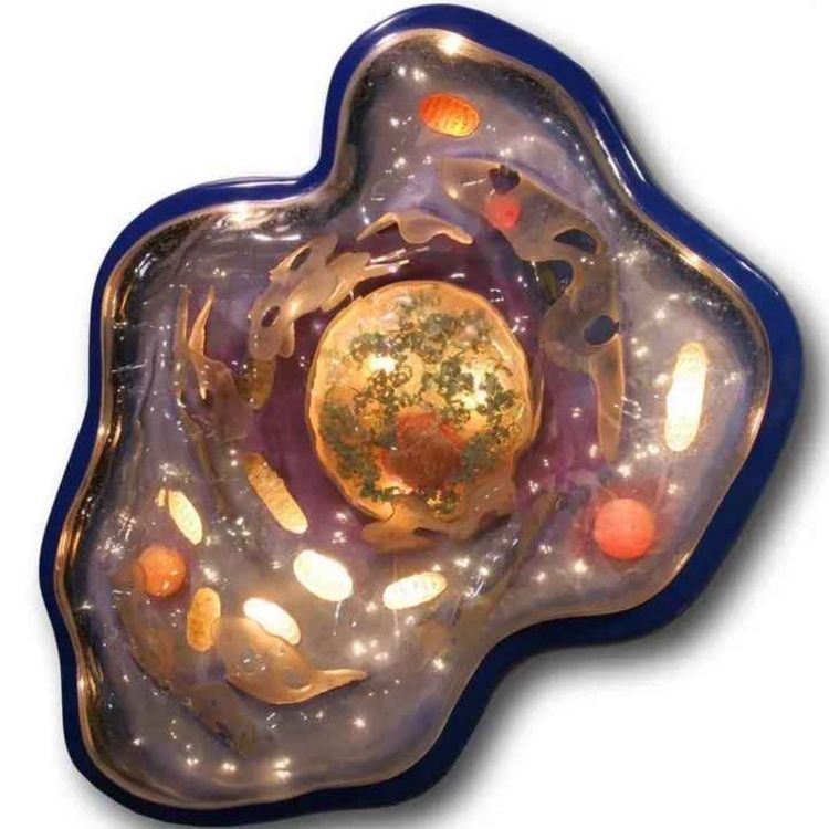 cover art for FUCA, the First Universal Common Ancestor