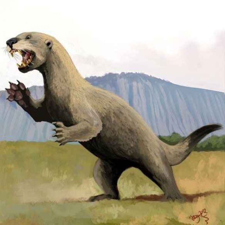 cover art for Enhydriodon, the Otter Tooth