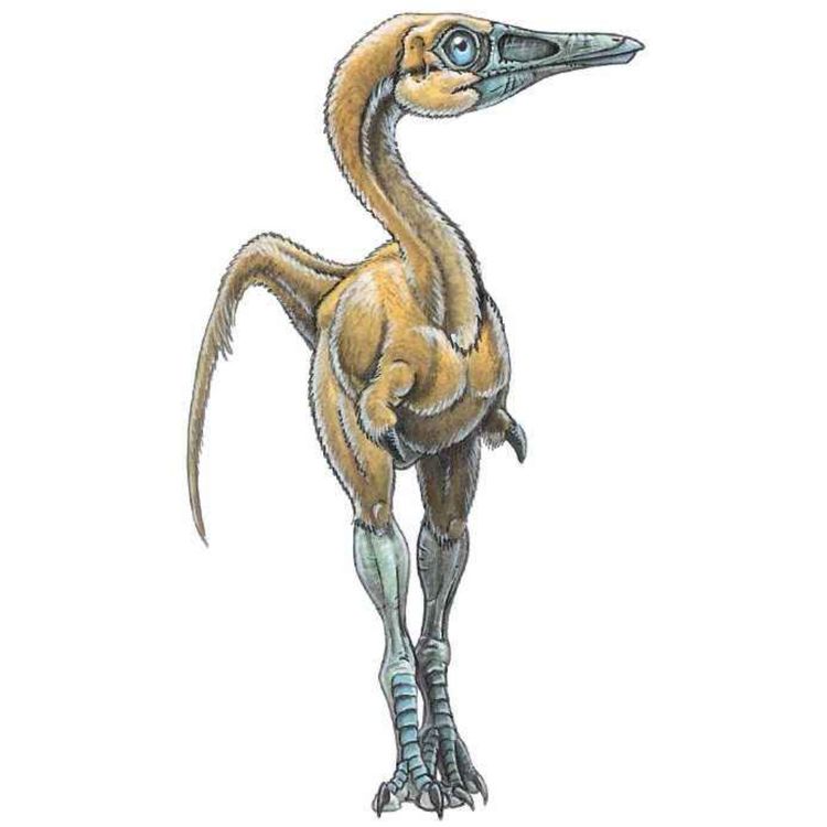 cover art for Shuvuuia, the Mongolian Bird