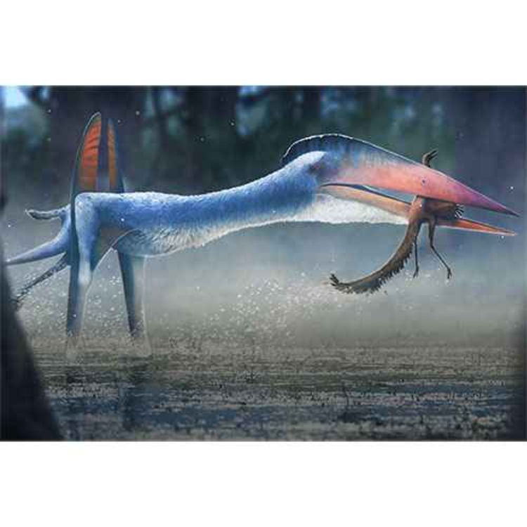 cover art for Hatzegopteryx, the Wing of Hateg Basin