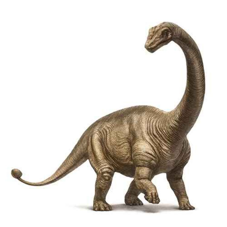 cover art for Shunosaurus, the Lizard of the Sichuan Province