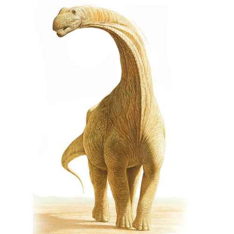 cover art for Argentinosaurus, the Argentine Lizard