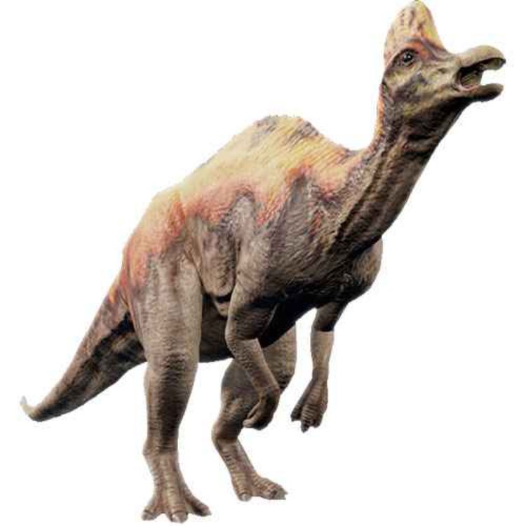 cover art for Corythosaurus, the Helmeted Lizard