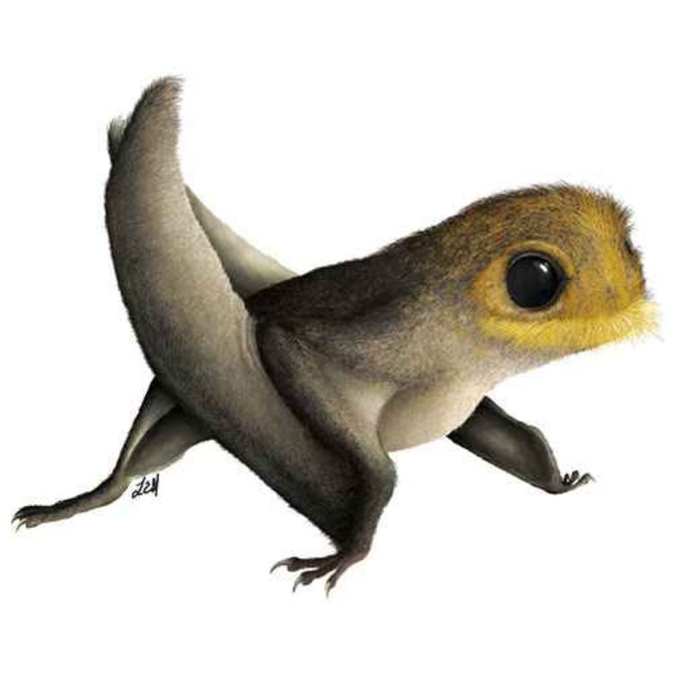 cover art for Anurognathus, the Frog Jaw