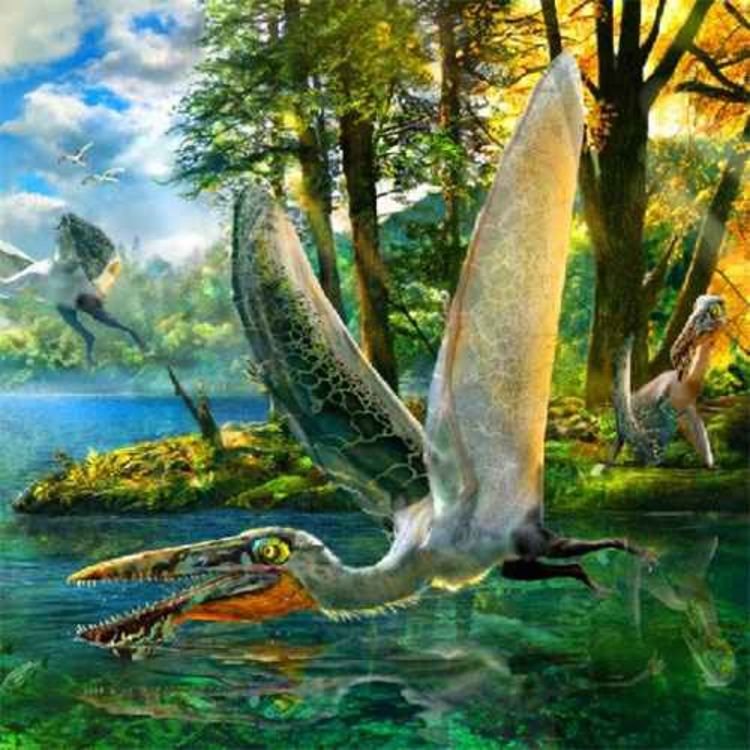 cover art for Ikrandraco, the Dragon of the Avatar Banshee