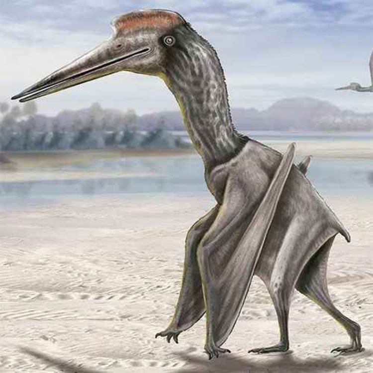 cover art for Thanatosdrakon, the Dragon of Death