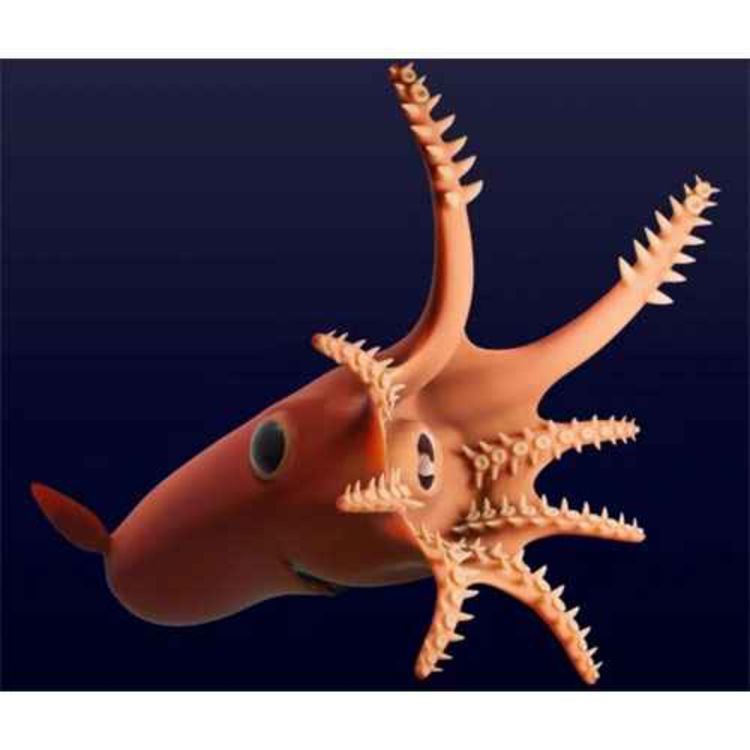 cover art for Vampyronassa, the Vampiric Fish Trap