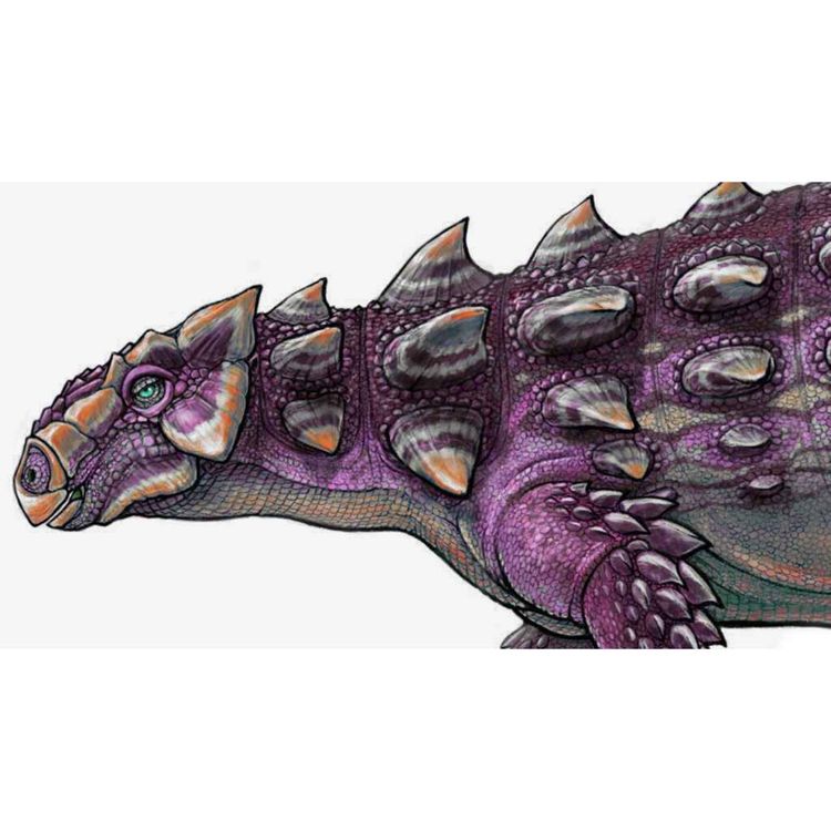 cover art for Zuul, the Destroyer of Shins Again