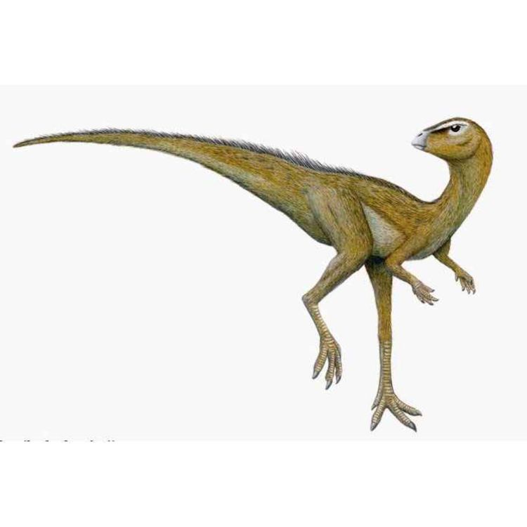 cover art for Hypsilophodon, the High-Ridged Tooth