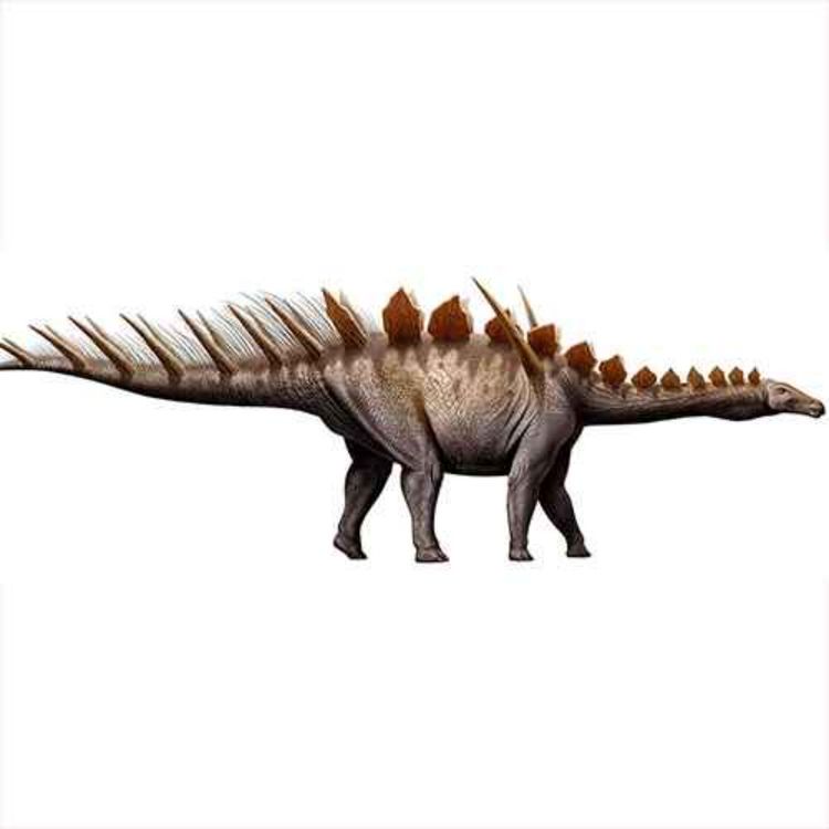 cover art for Miragaia, of the Earth Goddess