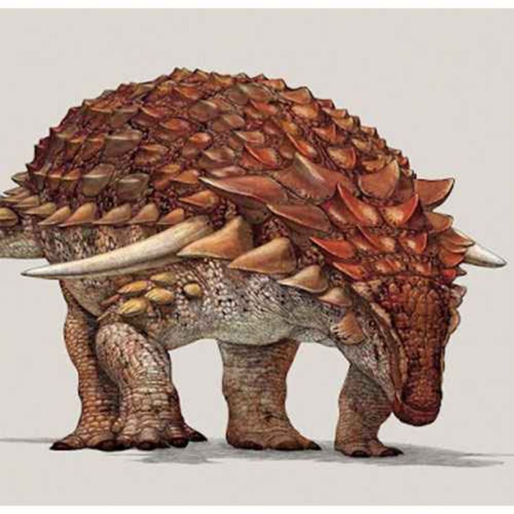 cover art for Borealopelta, the Northern Shield