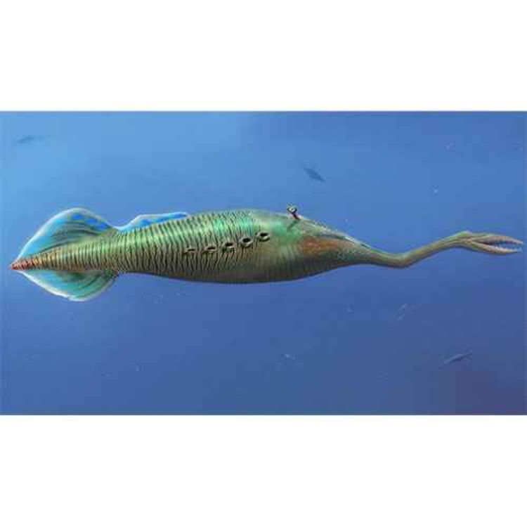 cover art for Tullimonstrum, the Monster of Francis Tully Again