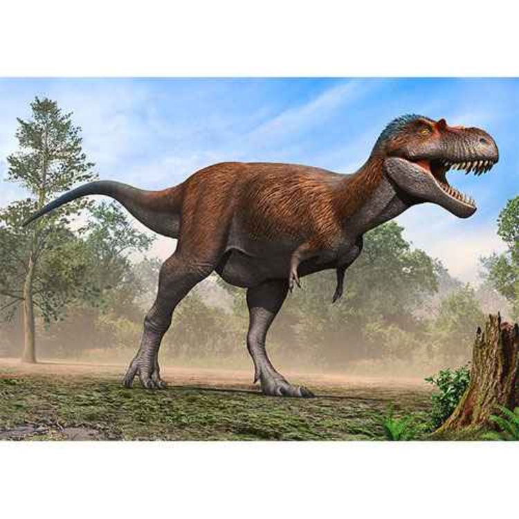 cover art for Albertosaurus, the Alberta Lizard Again