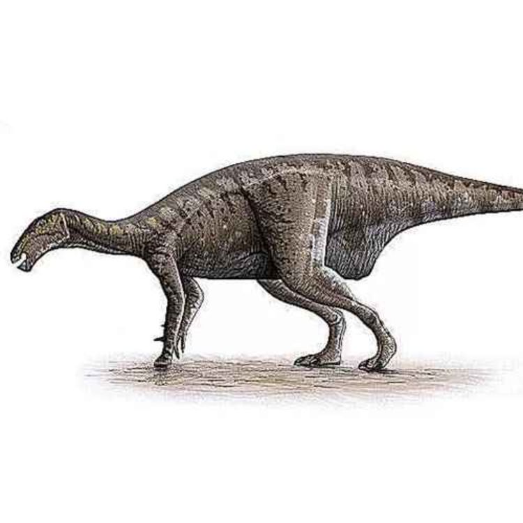 cover art for Proa, the Prow of Val de Arino Again