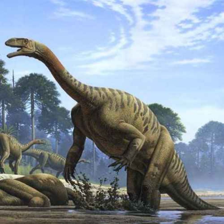 cover art for Plateosaurus, the Broad Lizard