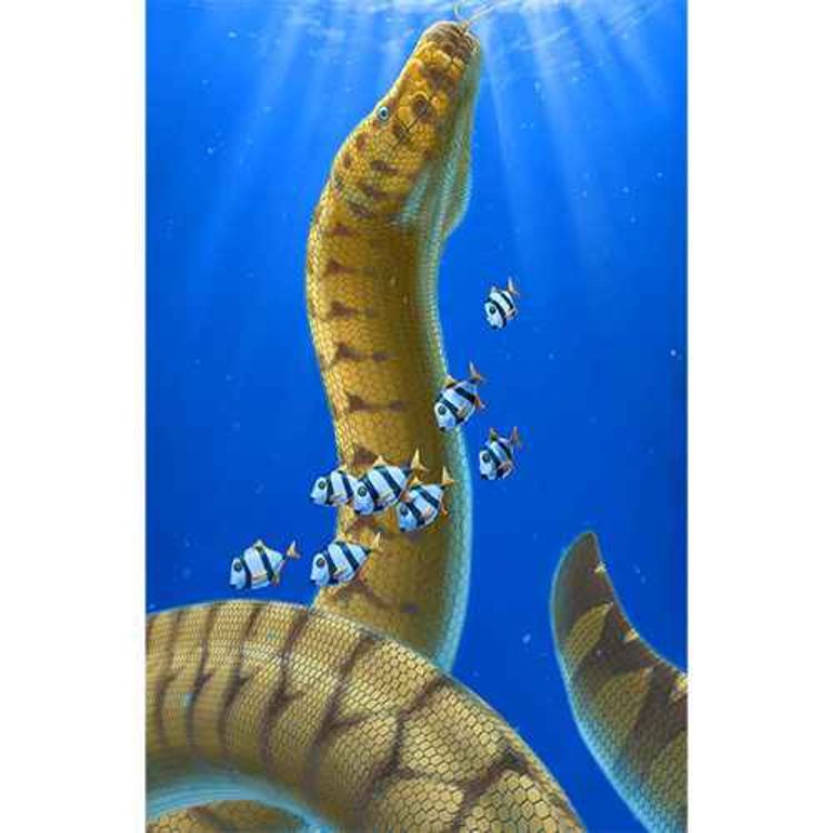 cover art for Palaeophis, the Ancient Snake