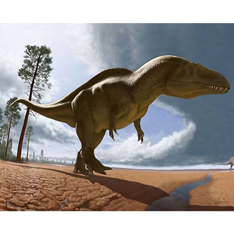 cover art for Acrocanthosaurus, the High Spined Lizard