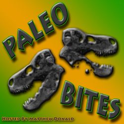 cover art for Paleo Bites