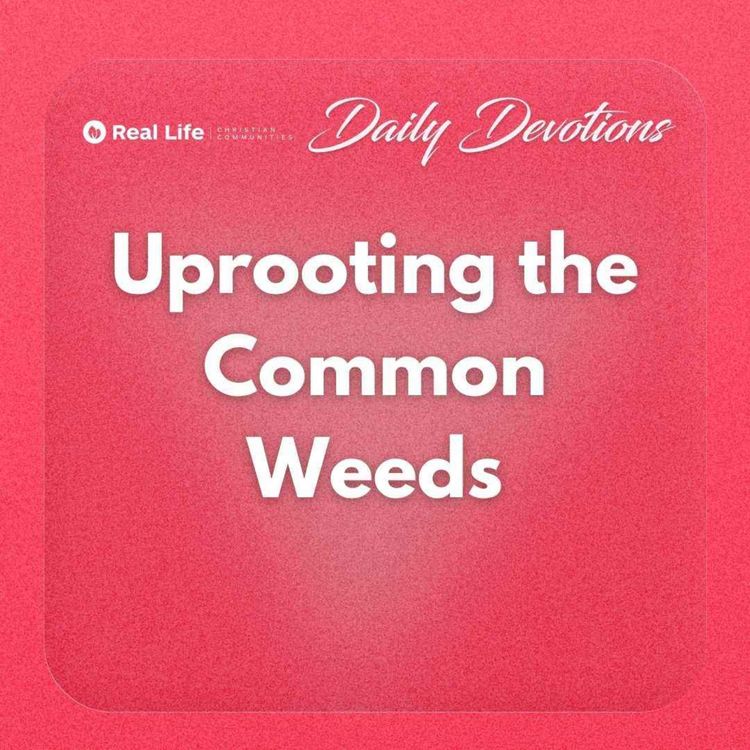 cover art for Uprooting the Common Weeds | Pastor Bong Baylon