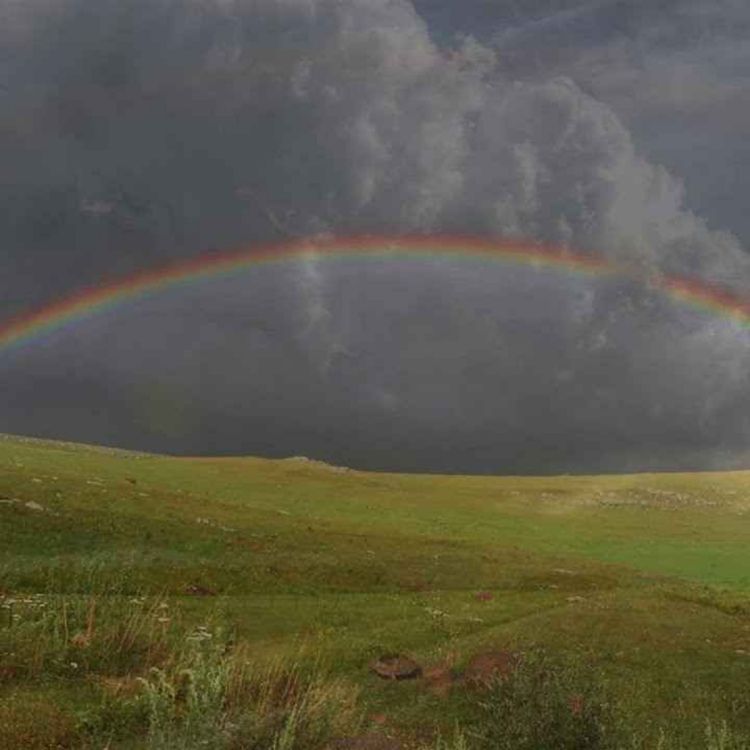 cover art for Peder B. Helland - No Worries