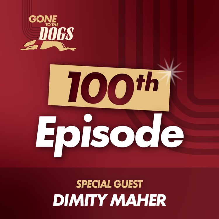 cover art for Episode 100 - Dimity Maher