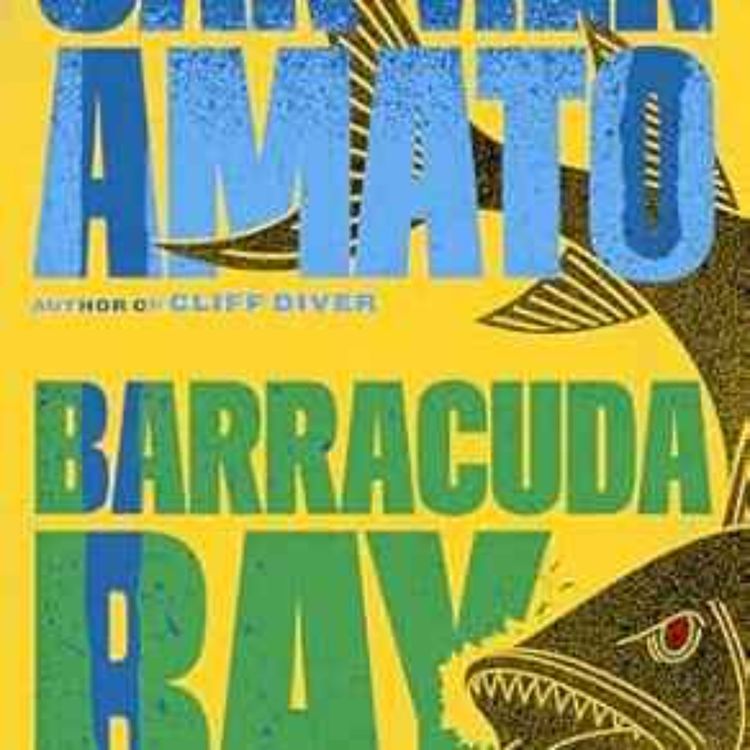 cover art for Carmen Amato - Barracuda Bay