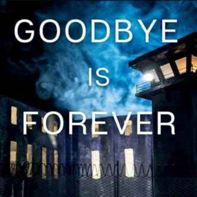 cover art for Gregory Stout - Goodbye is Forever