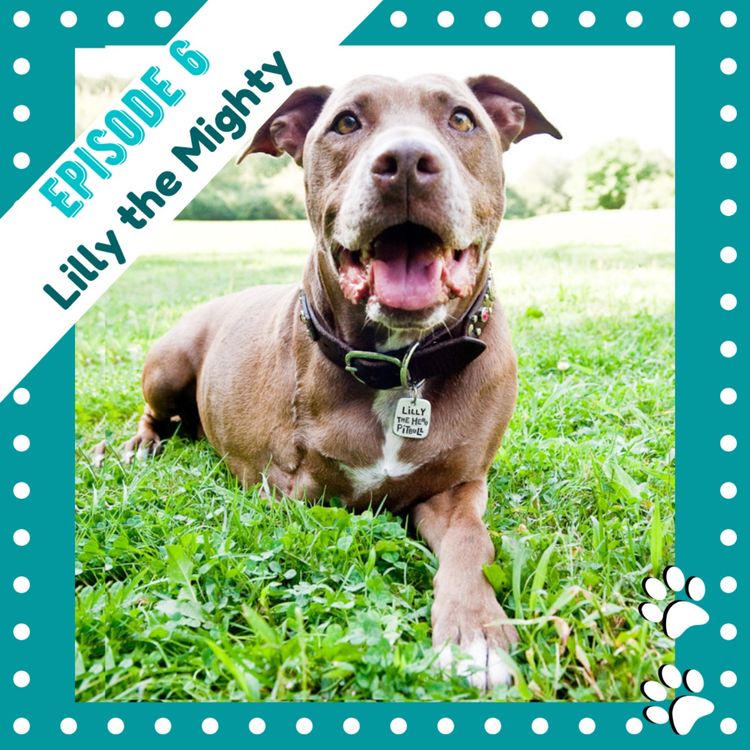 cover art for Ep6 - Lilly the Mighty Pit Bull