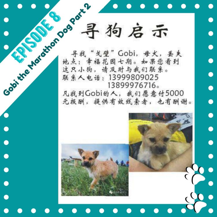 cover art for Ep8 - Gobi the Marathon Dog Part 2