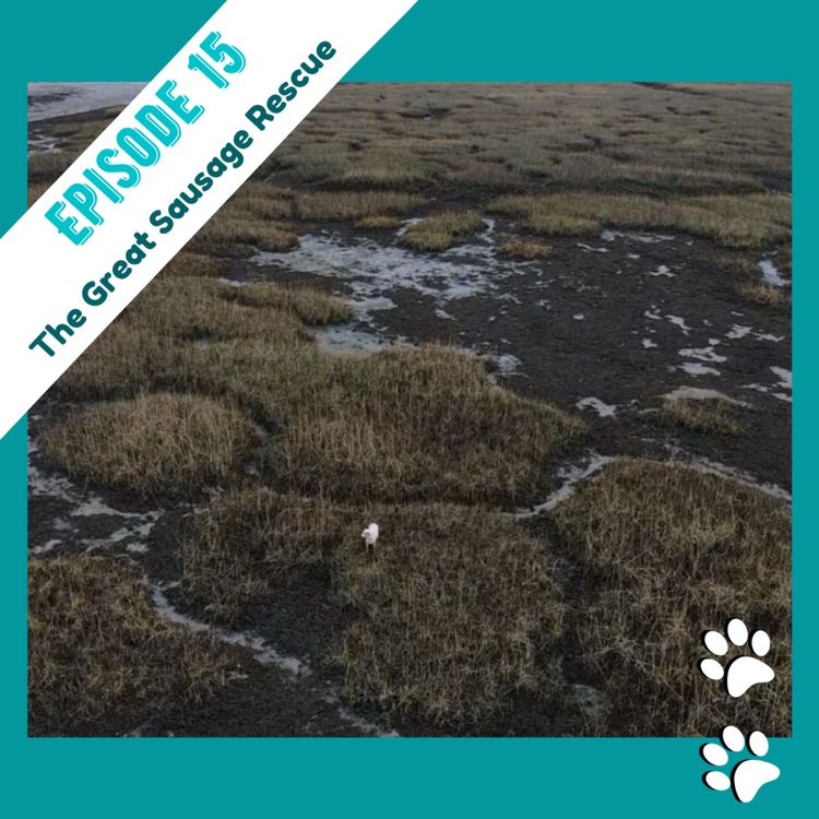 cover art for Ep 15 The Great Sausage Rescue