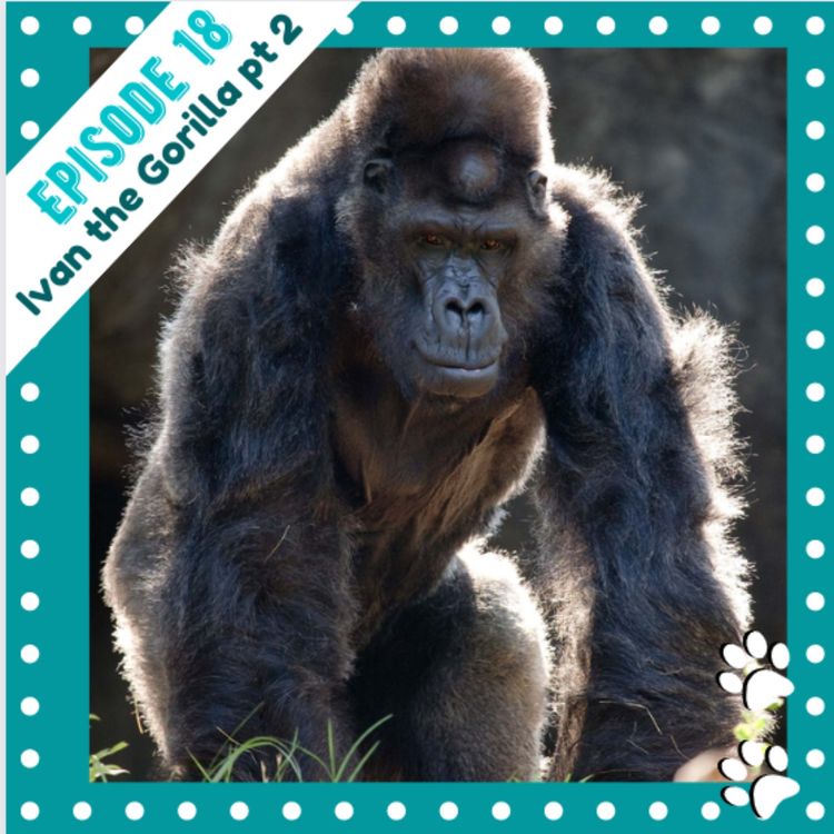 cover art for Ep 18- Ivan the Gorilla Part 2