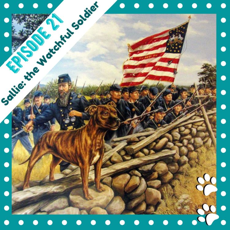 cover art for Sallie: The Watchful Soldier