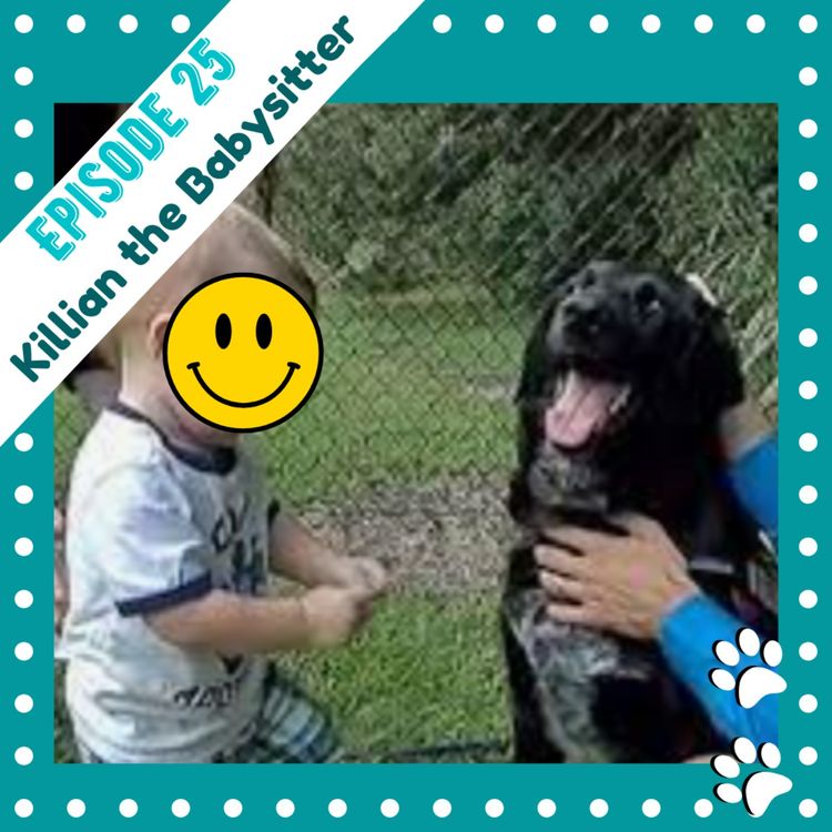 cover art for Ep 25- Killian the Babysitting Dog