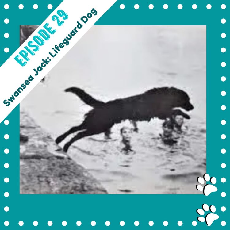 cover art for Ep 29- Swansea Jack: The Lifeguard Dog