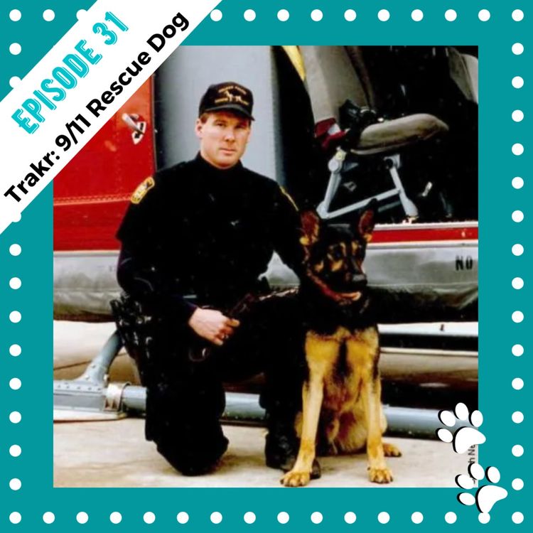 cover art for Trakr: 9/11 Rescue Dog