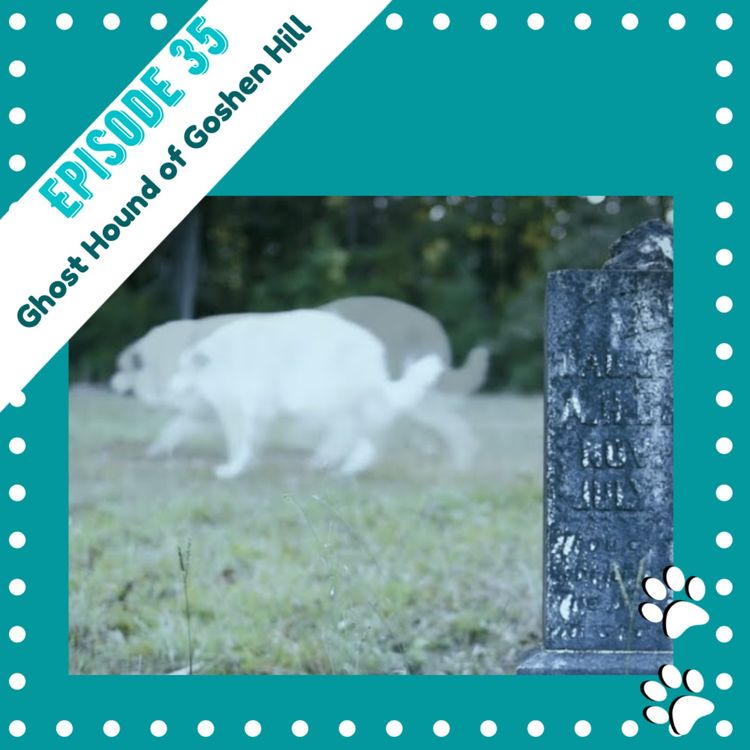 cover art for Ep 35: Ghost Hound of Goshen Hill