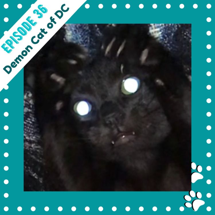 cover art for Ep 36: The Demon Cat of D.C.