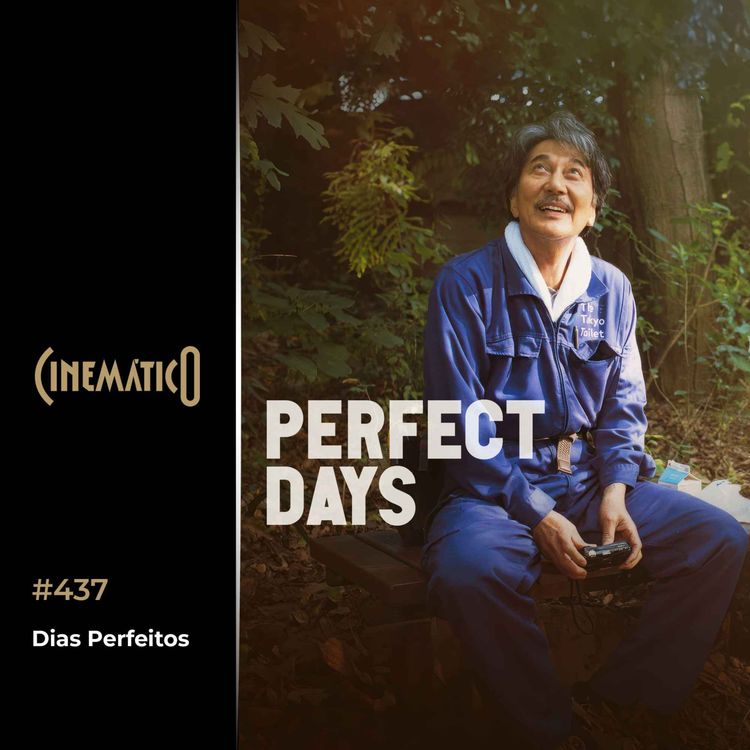 cover art for Dias Perfeitos