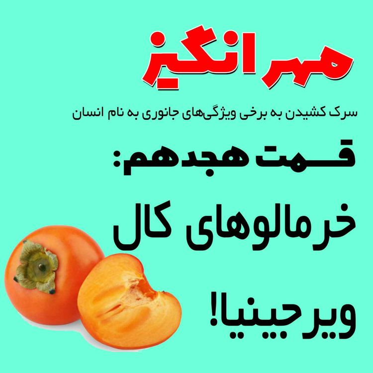 cover art for قسمت هجدهم: خرمالوهای کال ویرجینیا!