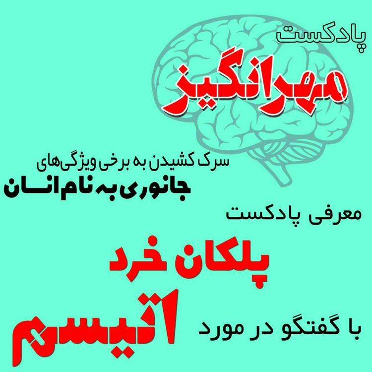 cover art for معرفی پادکست پلکان خرد با گفتگو در مورد اتیسم