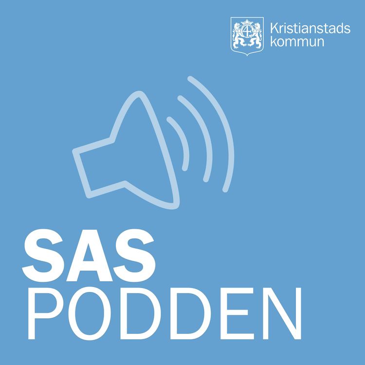 cover art for 26. Vilka skyddsåtgärder har vi?