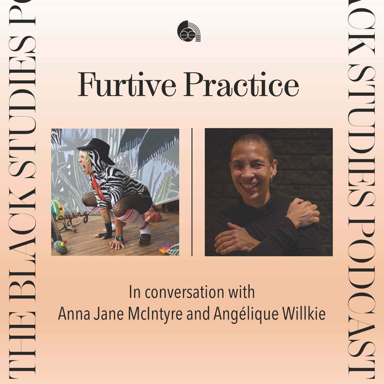 cover art for Furtive Practice