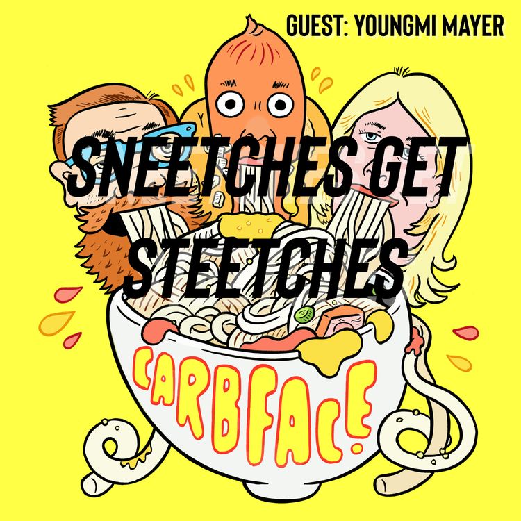 cover art for Sneetches Get Steetches