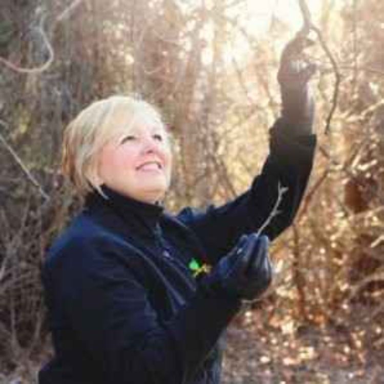 cover art for Save Our Trees with Vicky McCarthy