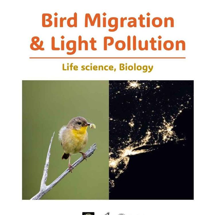 cover art for Lights Out CT's New 5-day Student Lesson Plan