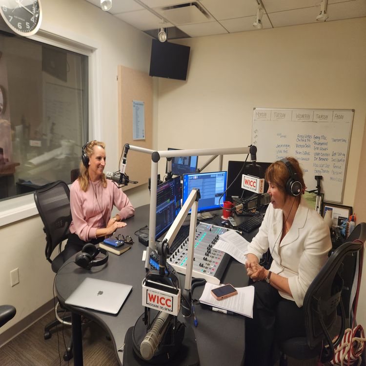 cover art for Welcome To WICC Bridget Quinn!