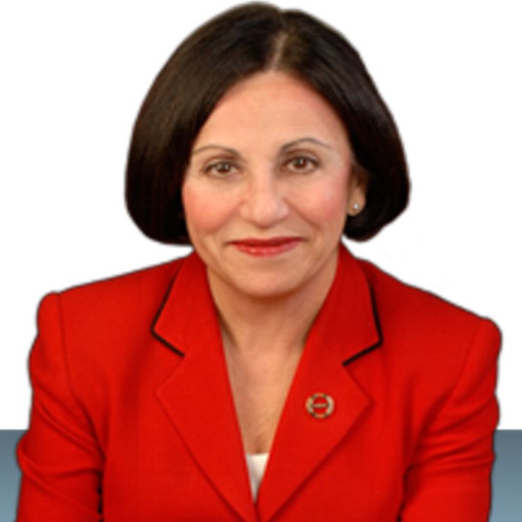 cover art for Toni Boucher Responds To Wilton Library's Vote To Drop Their First Writer-in-Residence