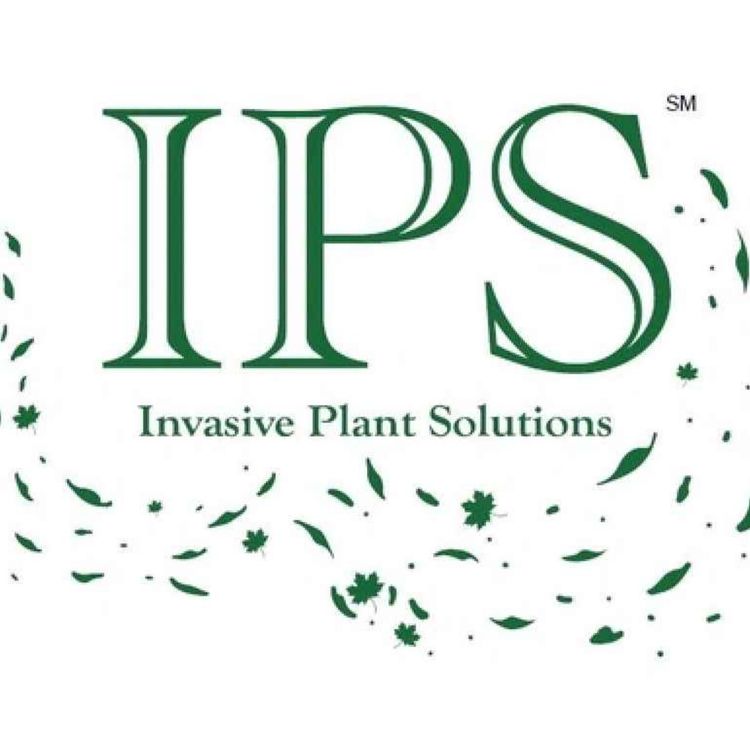 cover art for What You Can Do About Invasive Plants