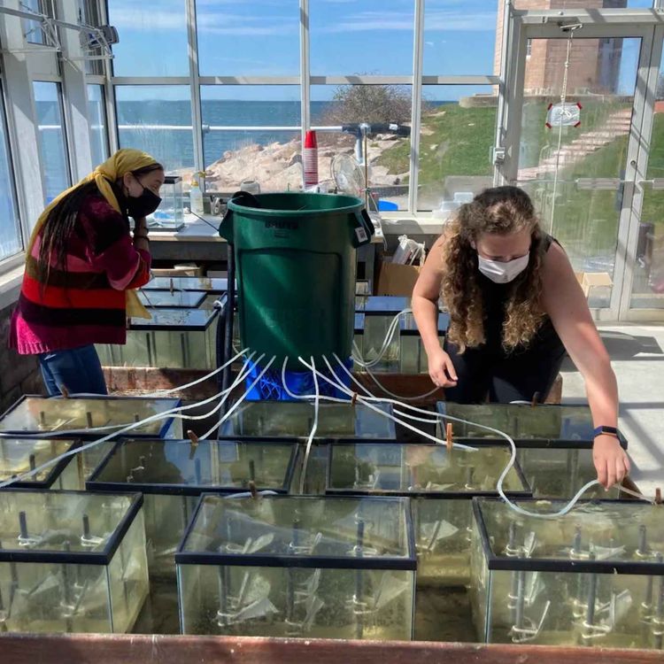 cover art for Bioplastics Can Help Our Plastic Pollution Crisis